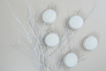 Load image into Gallery viewer, Decorative arrangement of white shower steamer pucks on branches against a beige background
